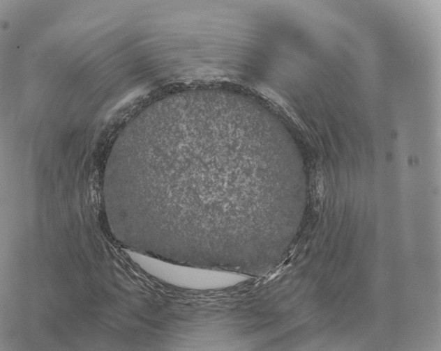 X0000072961063200608111645