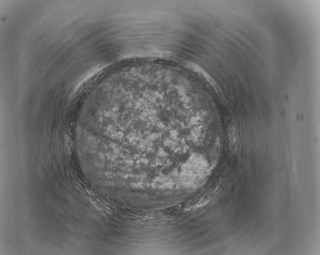 X0000072961064200608111645