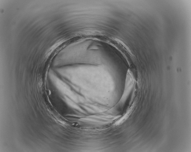 X0000072961065200608111645