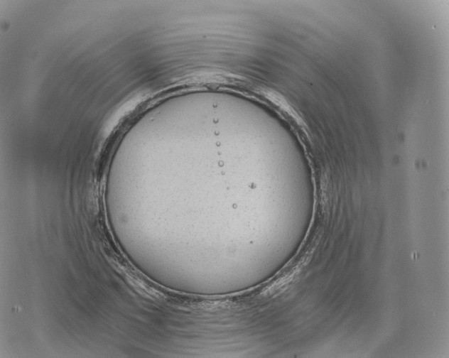 X0000072961067200608111645