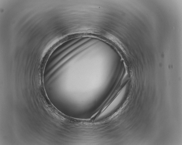 X0000072961069200608111645