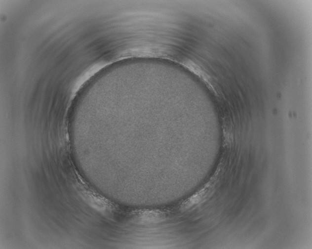 X0000072961070200608111645