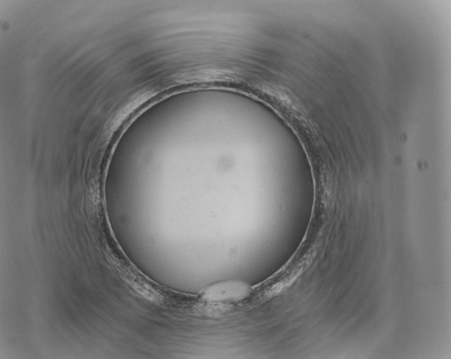 X0000072961073200608111645