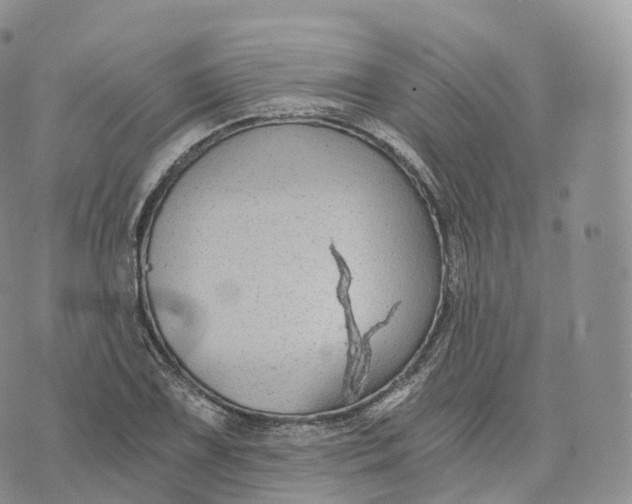 X0000072961075200608111645