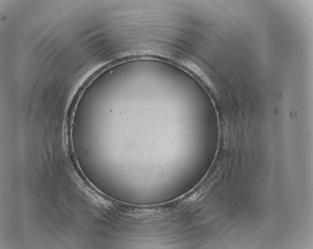 X0000072961076200608111645