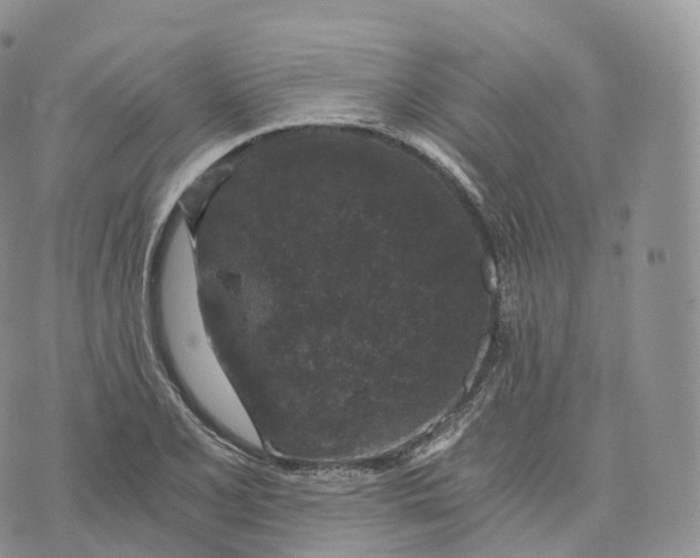 X0000072961077200608111645