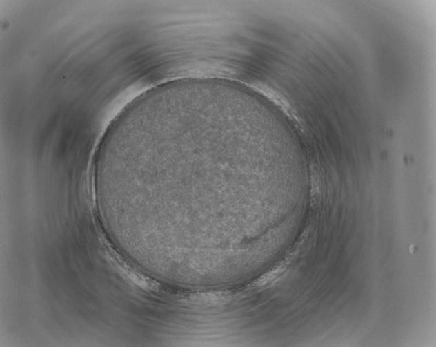 X0000072961078200608111645