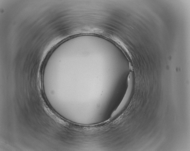 X0000072961080200608111645