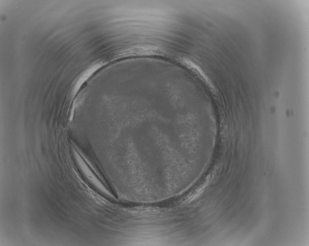 X0000072961081200608111645