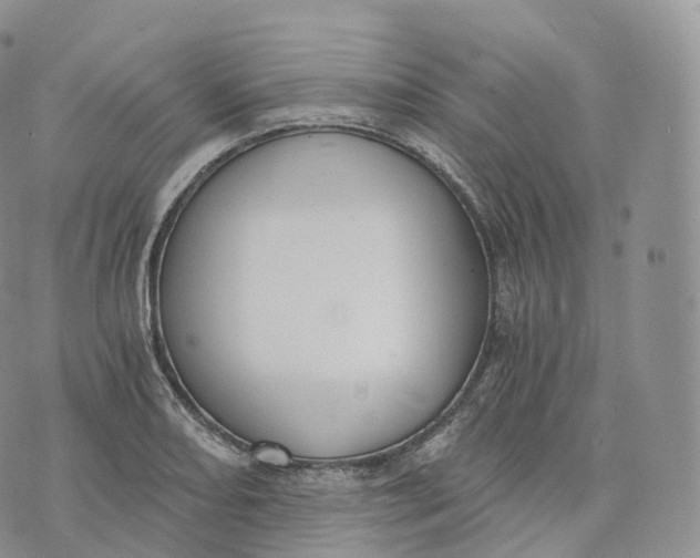 X0000072961082200608111645