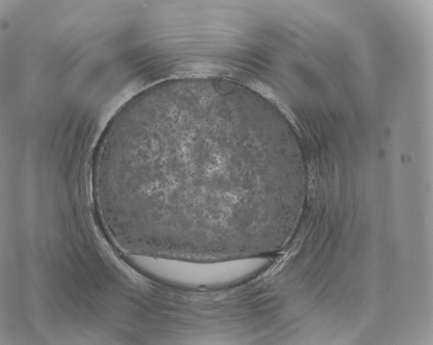 X0000072961083200608111645