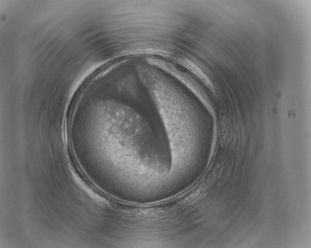 X0000072961084200608111645