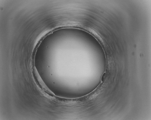 X0000072961085200608111645