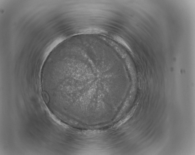 X0000072961087200608111645