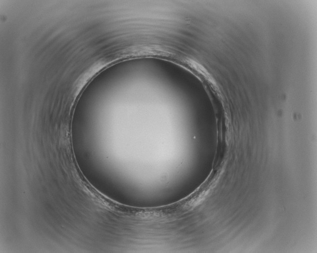 X0000072961089200608111645