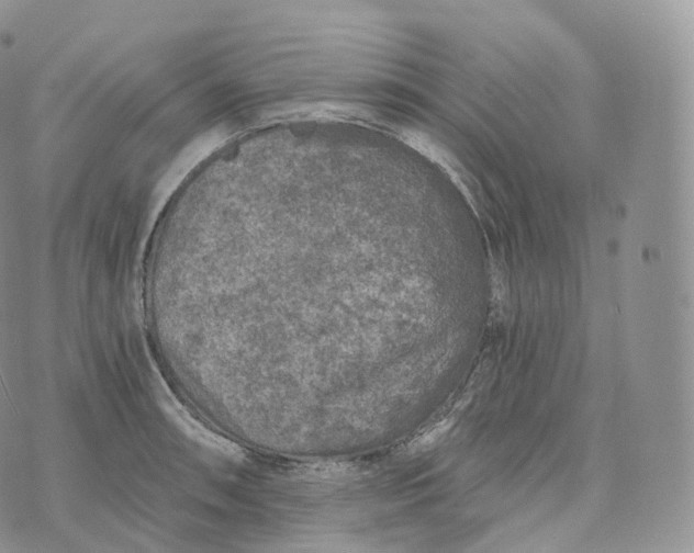 X0000072961090200608111645