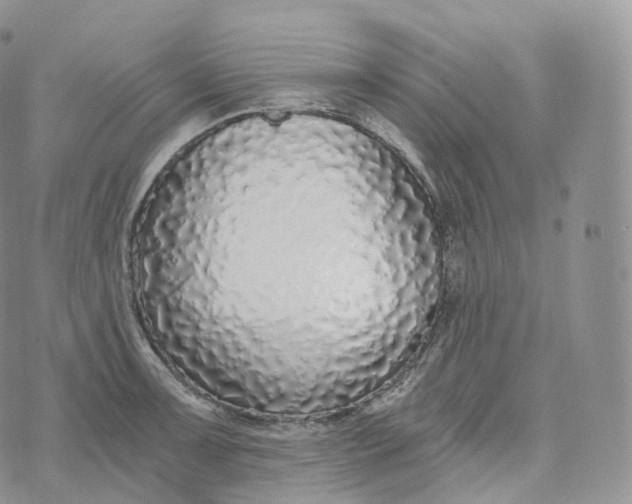 X0000072961091200608111645