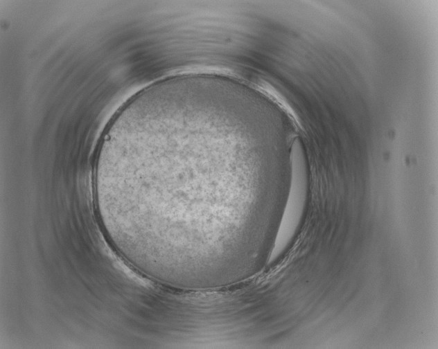 X0000072961092200608111645