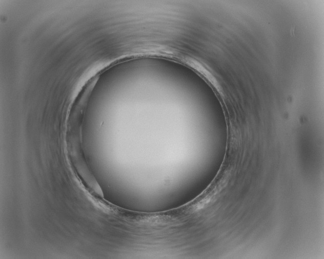 X0000072961093200608111645