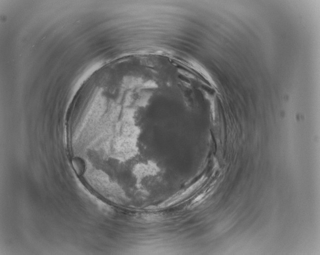 X0000072961095200608111645