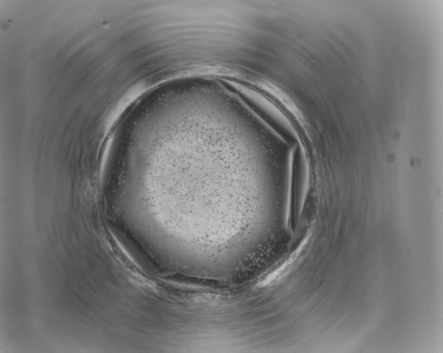 X0000072961097200608111645