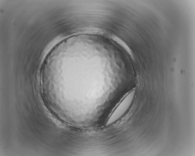 X0000072961099200608111645