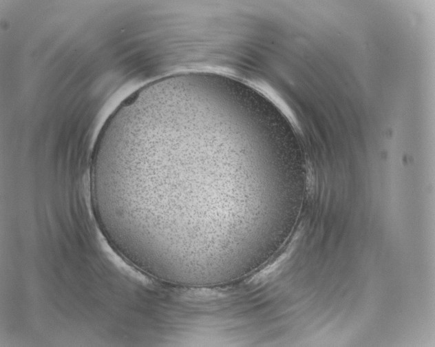 X0000072961100200608111645