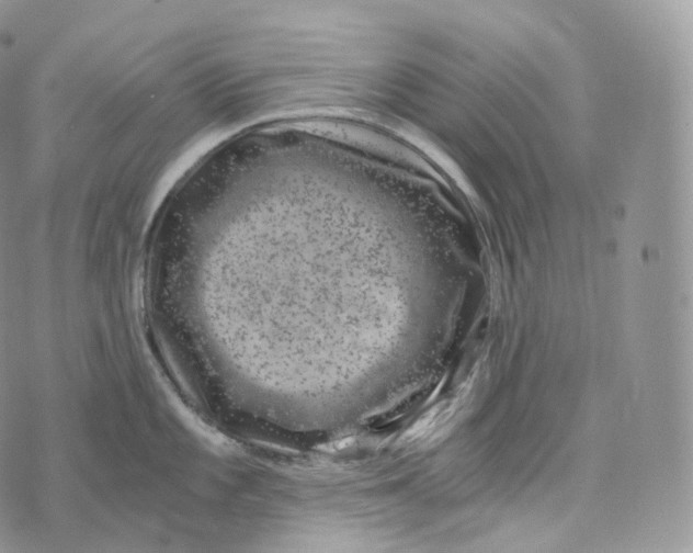 X0000072961101200608111644