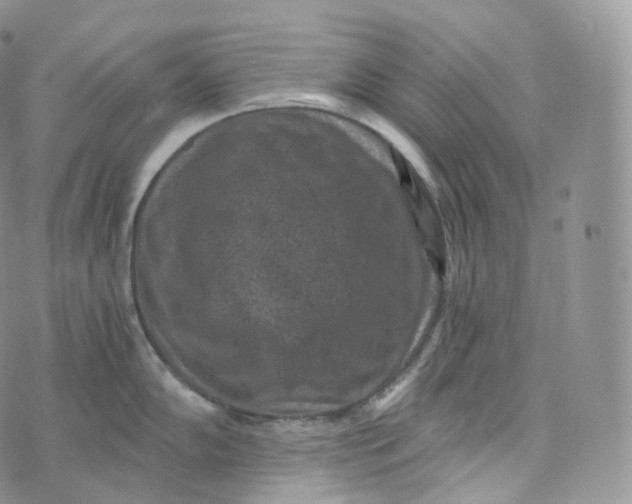 X0000072961102200608111644