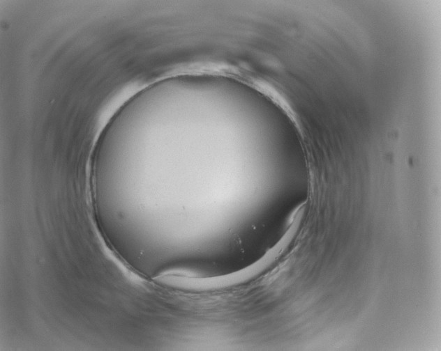 X0000072961103200608111644