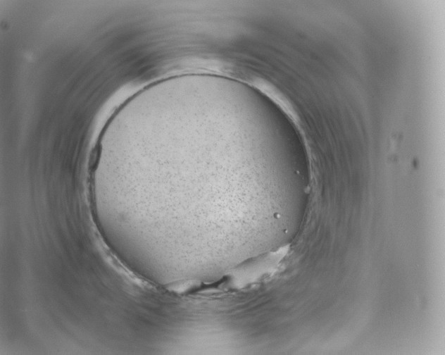 X0000072961104200608111644