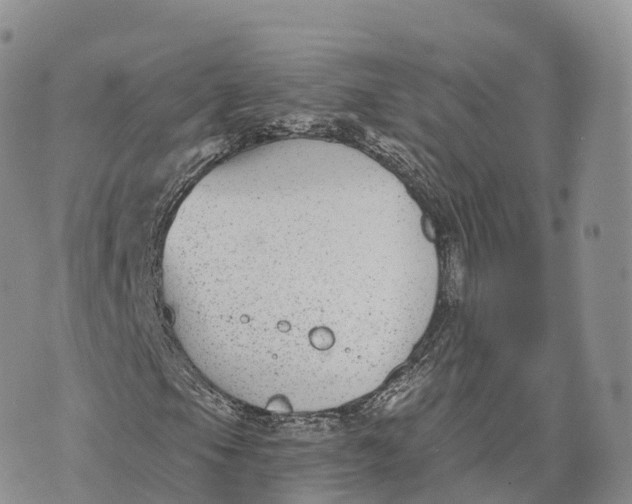 X0000072961105200608111644