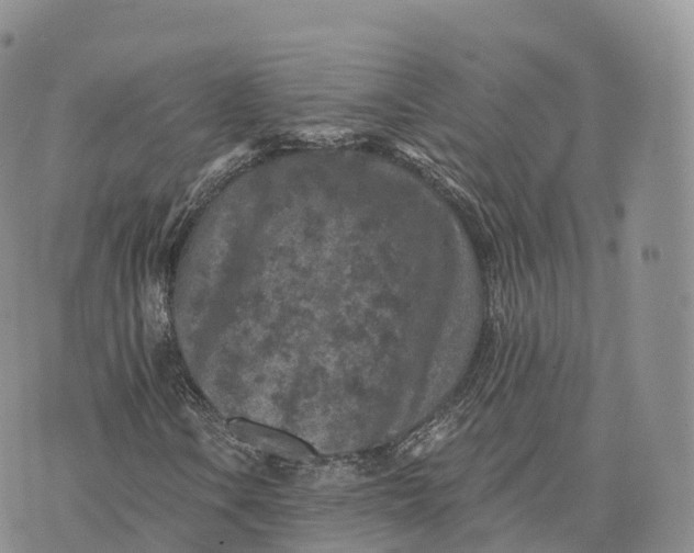 X0000072961106200608111644