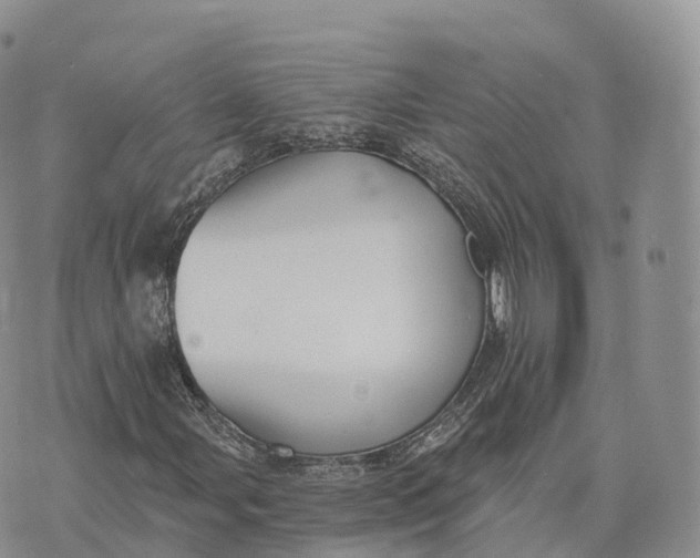 X0000072961107200608111644