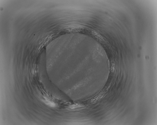 X0000072961108200608111644