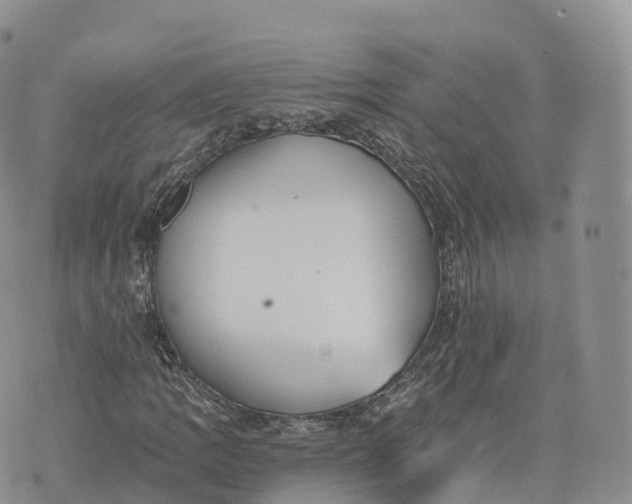 X0000072961109200608111644