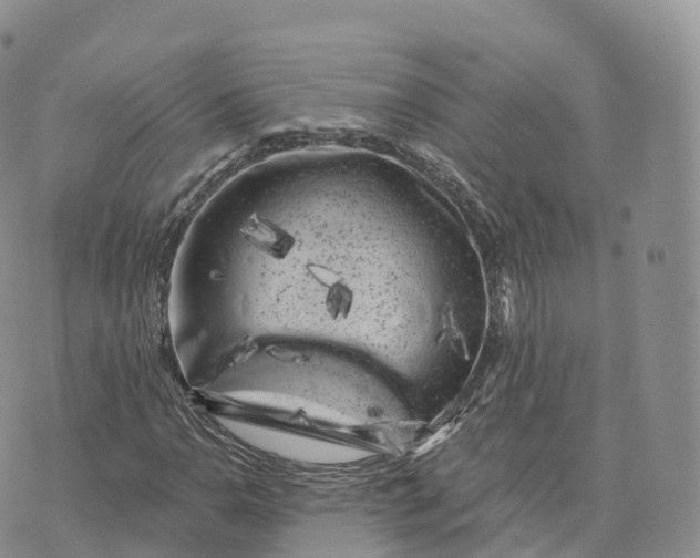 X0000072961110200608111644