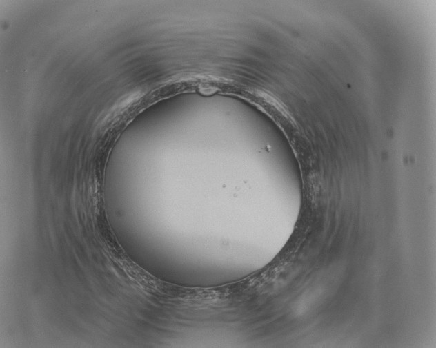 X0000072961111200608111644