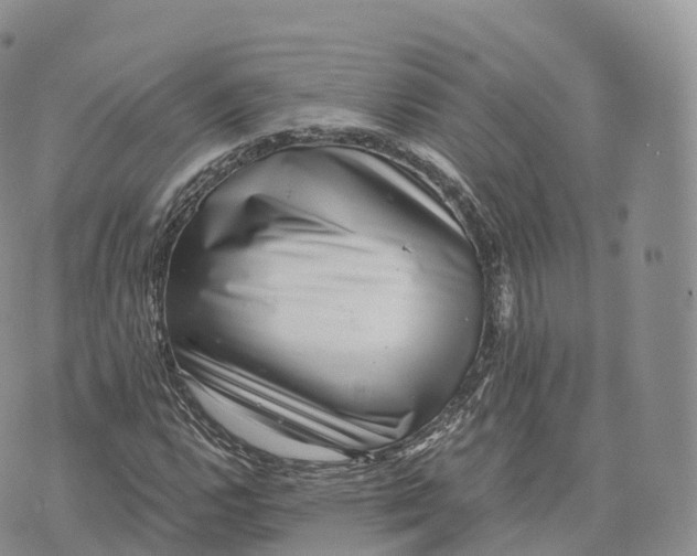 X0000072961112200608111644