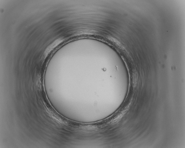 X0000072961113200608111644