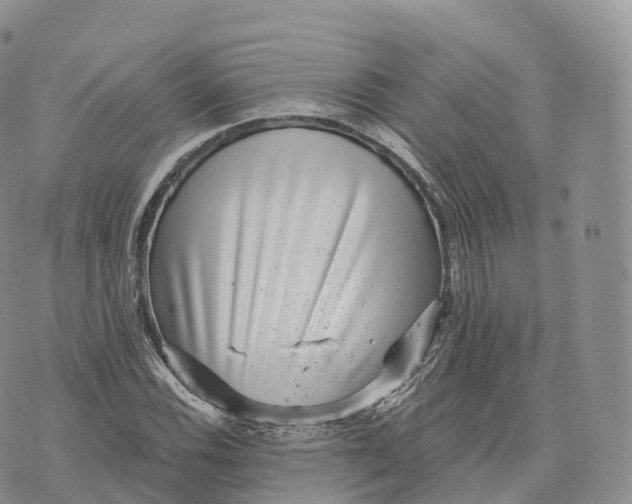 X0000072961116200608111644