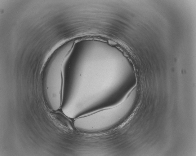 X0000072961118200608111644