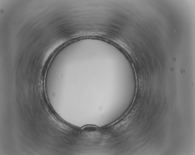 X0000072961119200608111644