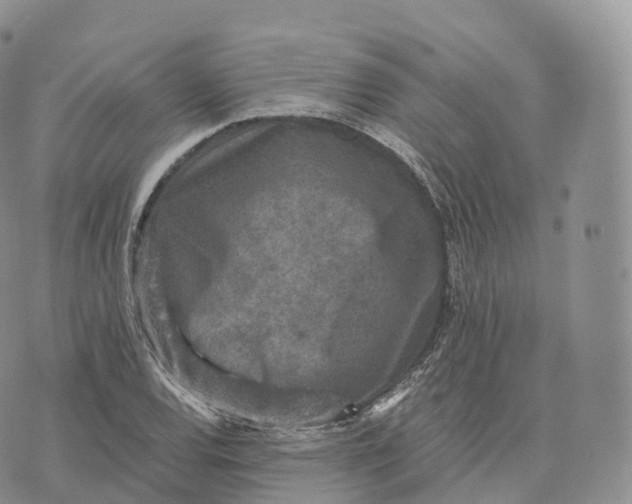 X0000072961120200608111644