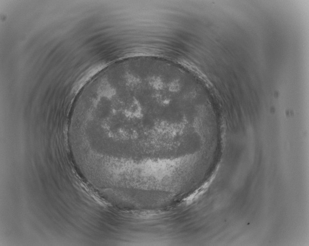 X0000072961121200608111644