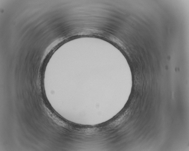 X0000072961122200608111644