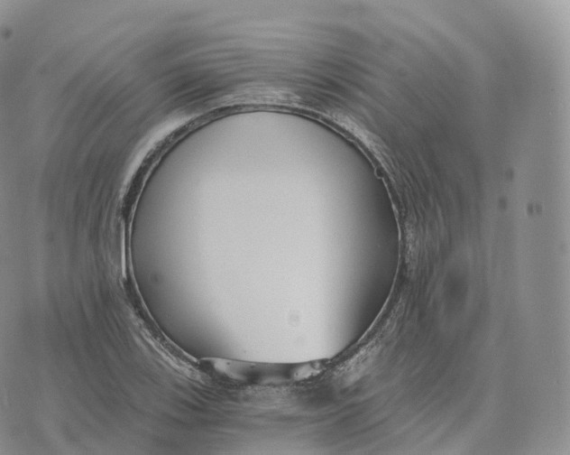 X0000072961123200608111644