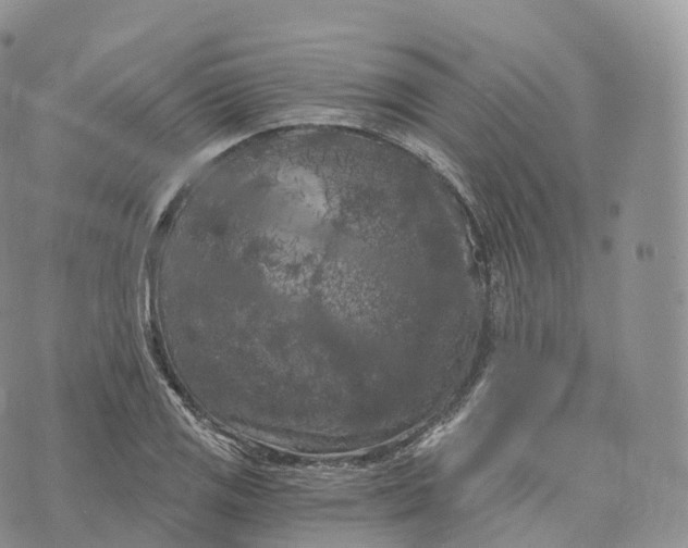 X0000072961125200608111644