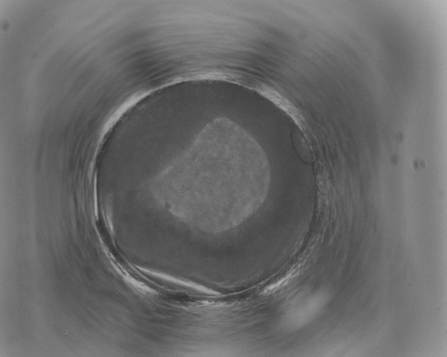 X0000072961127200608111644