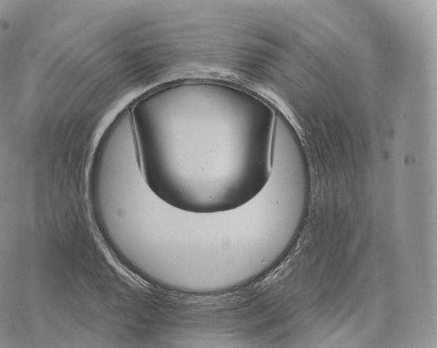 X0000072961128200608111644